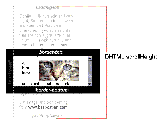 ユーザーのビューポートは、padding-top, border-top, border-bottom, padding-bottom とラベル付けされた 4 つの領域を持つ要素です。スクロールの高さは、コンテナーの padding-top から padding bottom の終わりまでで、ビューポートの上端と下端をはるかに超えています。